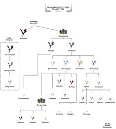 a family tree is shown with several different birds in the top right corner and bottom left corner