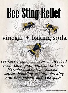 two bees sitting on top of a plant with words written below the caption, bee sting relief vinegar - baking soda