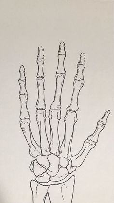 a black and white drawing of a hand with bones on it's left side