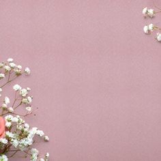 flowers on a pink background with space for text