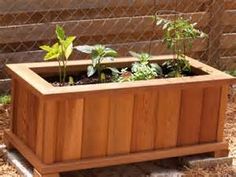 a wooden planter with plants growing in it