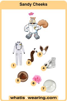 an image of some items that are being used for sandy cheeks costume and other things