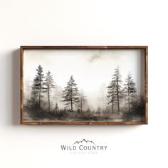 a black and white photo with trees in the background is mounted on a wall above a sign that reads wild country