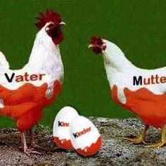 two red and white chickens standing next to each other with the words water written on them