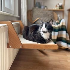 a black and white cat sitting on top of a wooden shelf