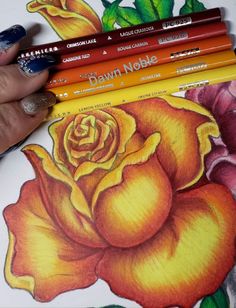 a person is holding some colored pencils in front of a drawing of a rose