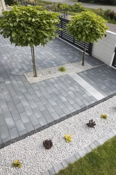 two trees are in the middle of a walkway with rocks and gravel on it, along with other plants