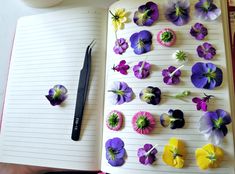 an open notebook with paper flowers and a black pen on the page next to it