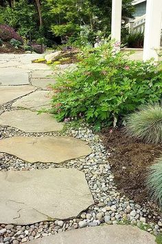 a stone walkway surrounded by plants and rocks in front of a house on a sunny day