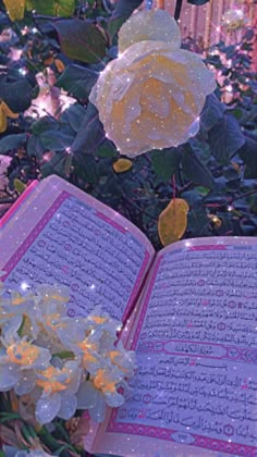 an open book sitting on top of a lush green field next to a white flower