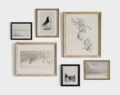 several framed pictures hang on the wall with birds and flowers in them, including one bird