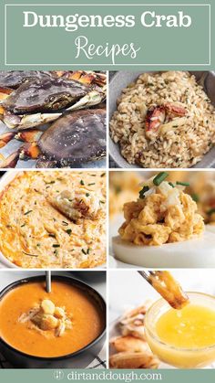 different images of seafood and rice with text overlay that says dunggeness crab recipes