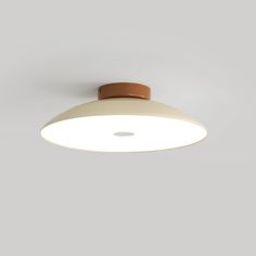 a white ceiling light with brown trim and a round lens on the top of it