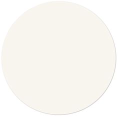 a white circle with no background