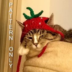 a cat laying on top of a blanket wearing a knitted strawberry hat