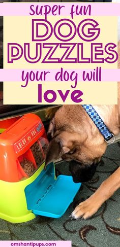 a dog is playing with his toys on the floor in front of a door that says, super fun dog puzzles your dog will love