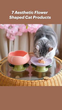 a cat eating food out of a bowl on top of a table with the words 7 aesthetic flower shaped cat products