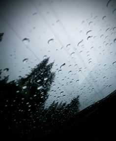 rain drops on the windshield of a car with trees in the background