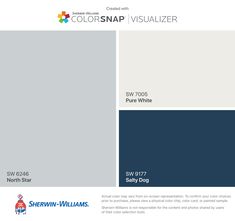 the color scheme for colorsnap visualizer is shown in blue, white and grey