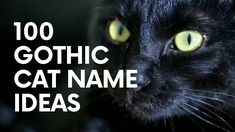 a black cat with yellow eyes and the words,'100 gothic cat name ideas '