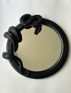 a mirror that has a snake on it