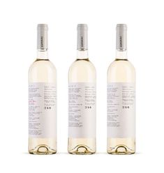 three bottles of white wine on a white background