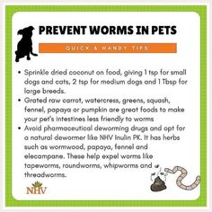 a sign that says prevent worms in pets