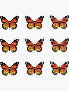 six orange butterflies with black and white markings on their wings, all facing different directions