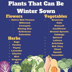 a poster with the words plants that can be winter sown, flowers and vegetables