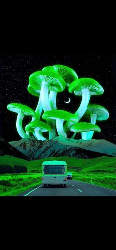 a van driving down a road next to green mushrooms