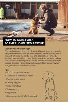 how to care for a formerly abused rescue Puppy Yoga, Chicken Boy, Walker Coonhound, Dog Behaviorist, Physical Inactivity, Vet Medicine, Dog Advice, Basic Dog Training, Different Signs