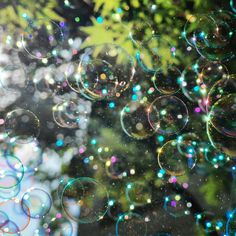 soap bubbles are floating in the air near trees