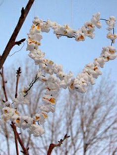 a heart shaped branch with flowers hanging from it's branches in the shape of a heart