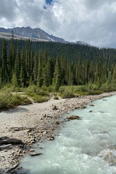 a river running through the middle of a forest filled with tall pine tree covered mountains