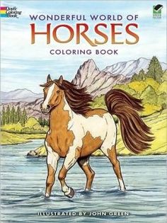 the wonderful world of horses coloring book