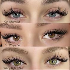 Types Of Lashes Extensions Styles, Fox Lash Extensions, Types Of Lash Extension Styles, Fox Lashes, Fox Eyelashes, Fox Eye Lashes, Types Of Eyelash Extensions