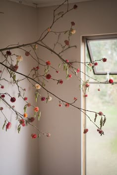 a branch with flowers hanging from it next to a window in a white walled room