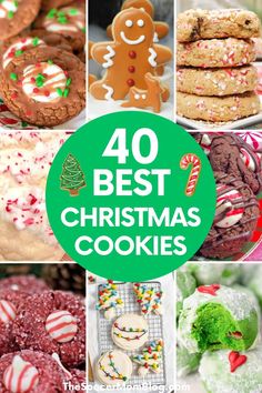 the best christmas cookies to bake and share with your family or friends this holiday