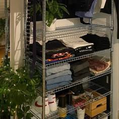 an organized closet with clothes and plants