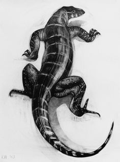 a black and white drawing of a lizard