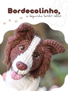 a brown and white dog wearing a knitted hat with the words bordocchinino on it