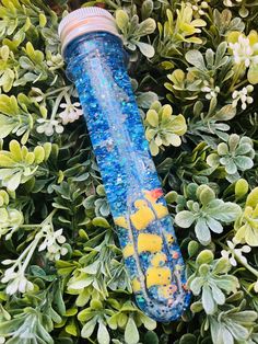 a blue and yellow water bottle sitting on top of green plants