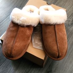 Women's Ugg Scuffette Ii Slipper Chestnut Ugg Scuffette, Shoes Brand, Christmas Wishlist, Womens Uggs, Ugg Shoes, Shoe Brands, Chestnut, New Color, Slippers