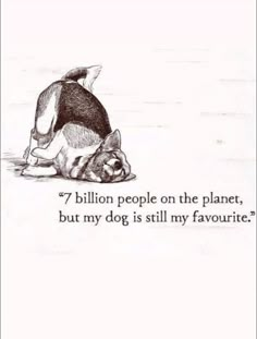 a drawing of a cat laying on the ground next to a quote that reads, 7 billion people on the planet, but my dog is still my favorite