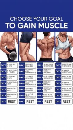 the best way to gain muscle is by using this chart for your bodybuilding routine