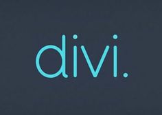 the word divi is lit up in blue