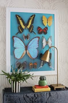 an instagram page with pictures of butterflies on the wall and in front of it