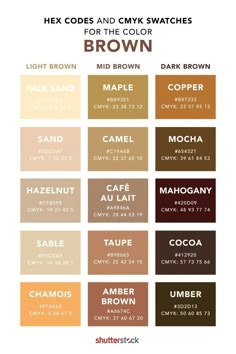 the color chart for different shades of brown