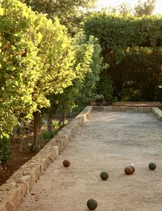 some balls are on the ground near trees