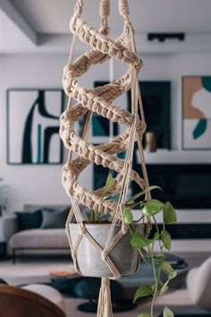 a potted plant hanging from a rope in a living room